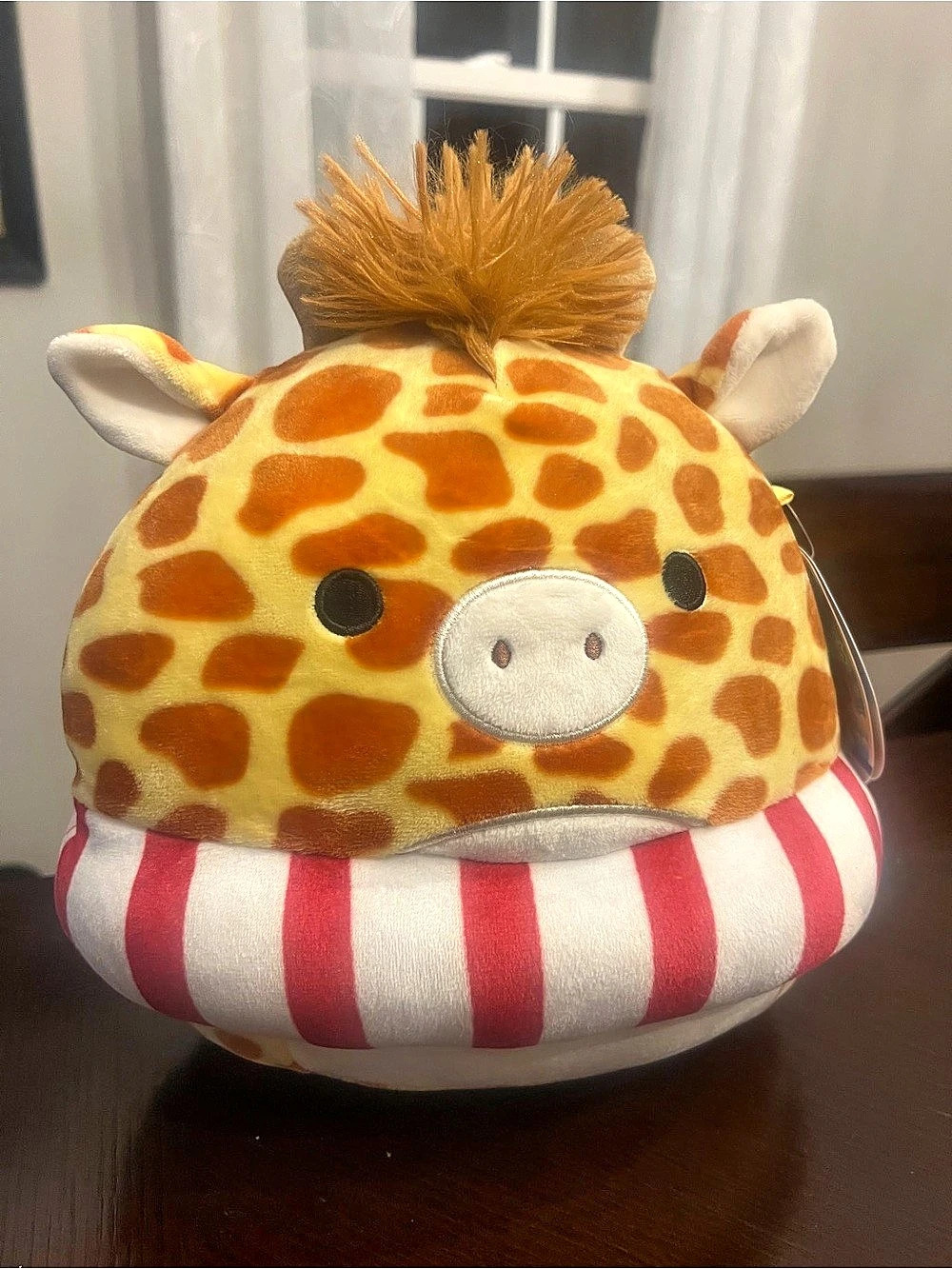 Squishmallows Gary the Giraffe with Red and White Striped Floaty & White Striped